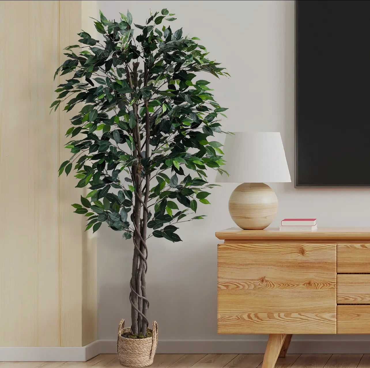 72” Ficus tree with basket