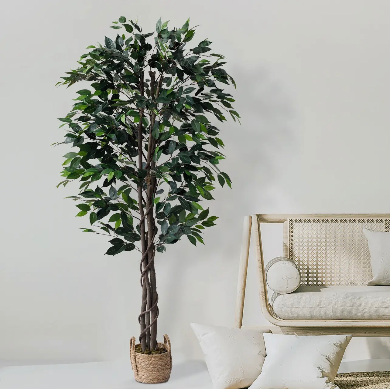 72” Ficus tree with basket